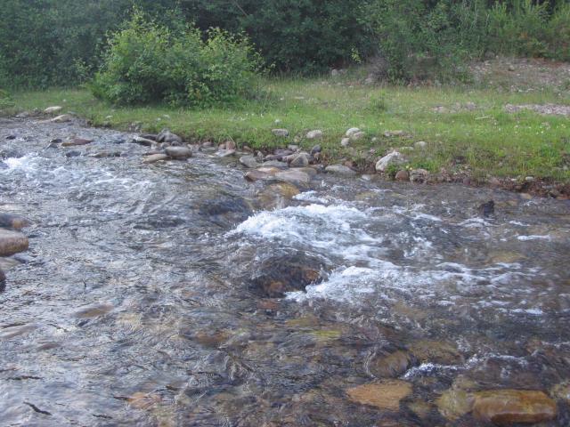 foto 030.jpg.jpg